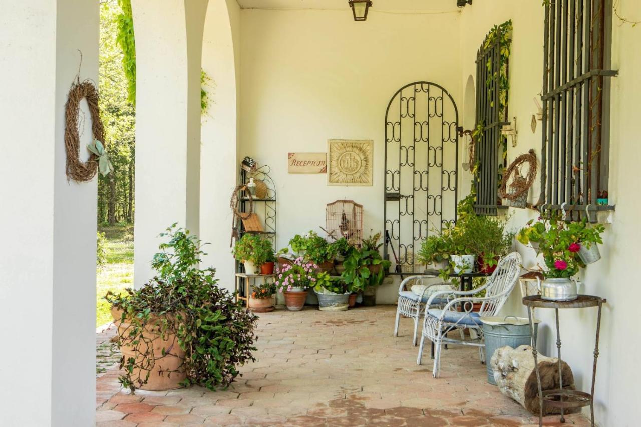 Villa Albertina モンテスペルトリ エクステリア 写真